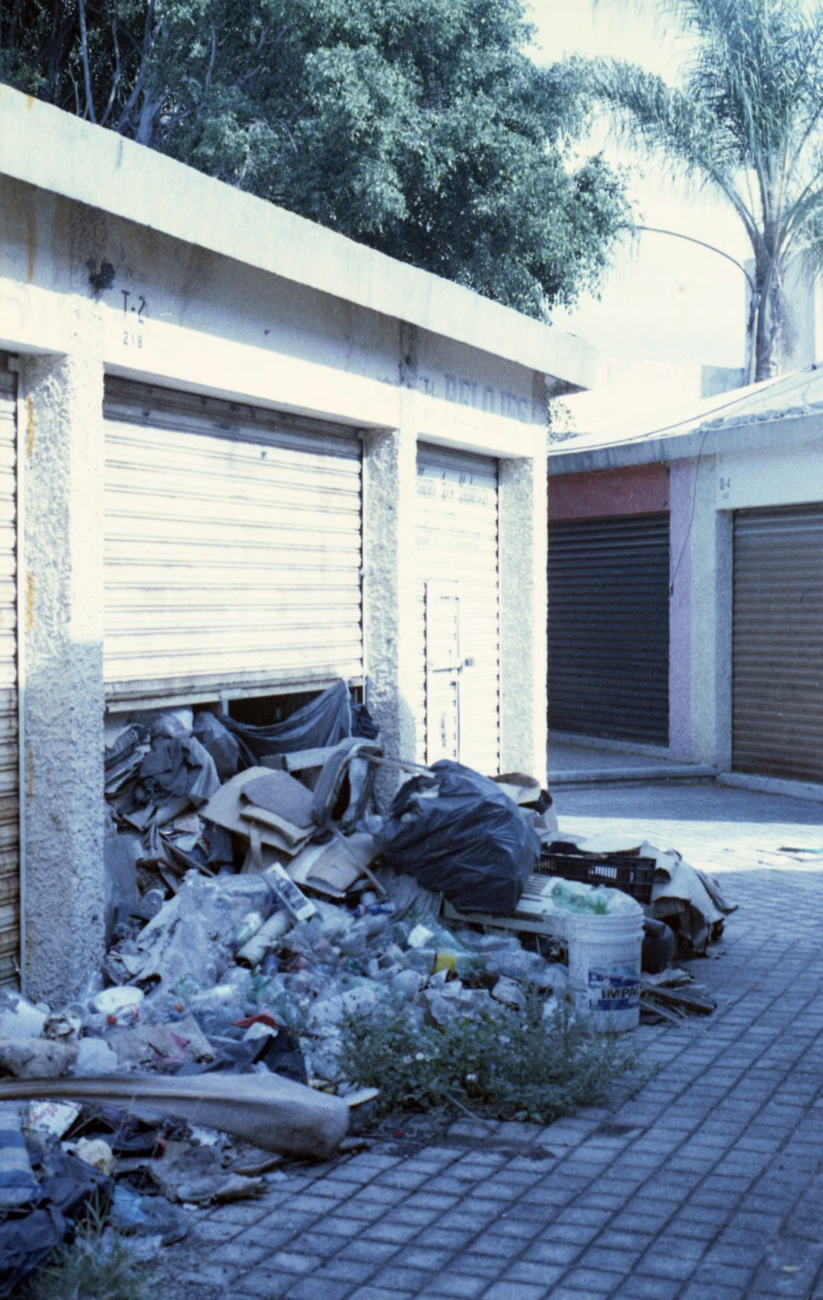 Junk removal team clearing unwanted items from a Burlington home garage